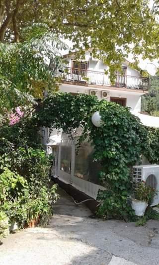 Bed and Breakfast Pansion Mimoza Herceg Novi Exteriér fotografie